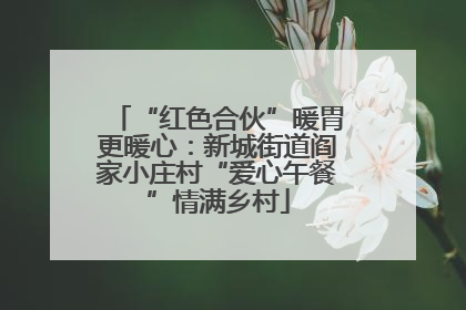 “红色合伙”暖胃更暖心：新城街道阎家小庄村“爱心午餐”情满乡村